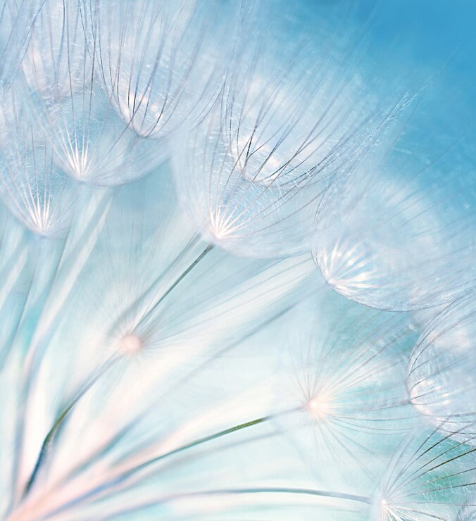 Cool Breeze Favor Flow Aroma